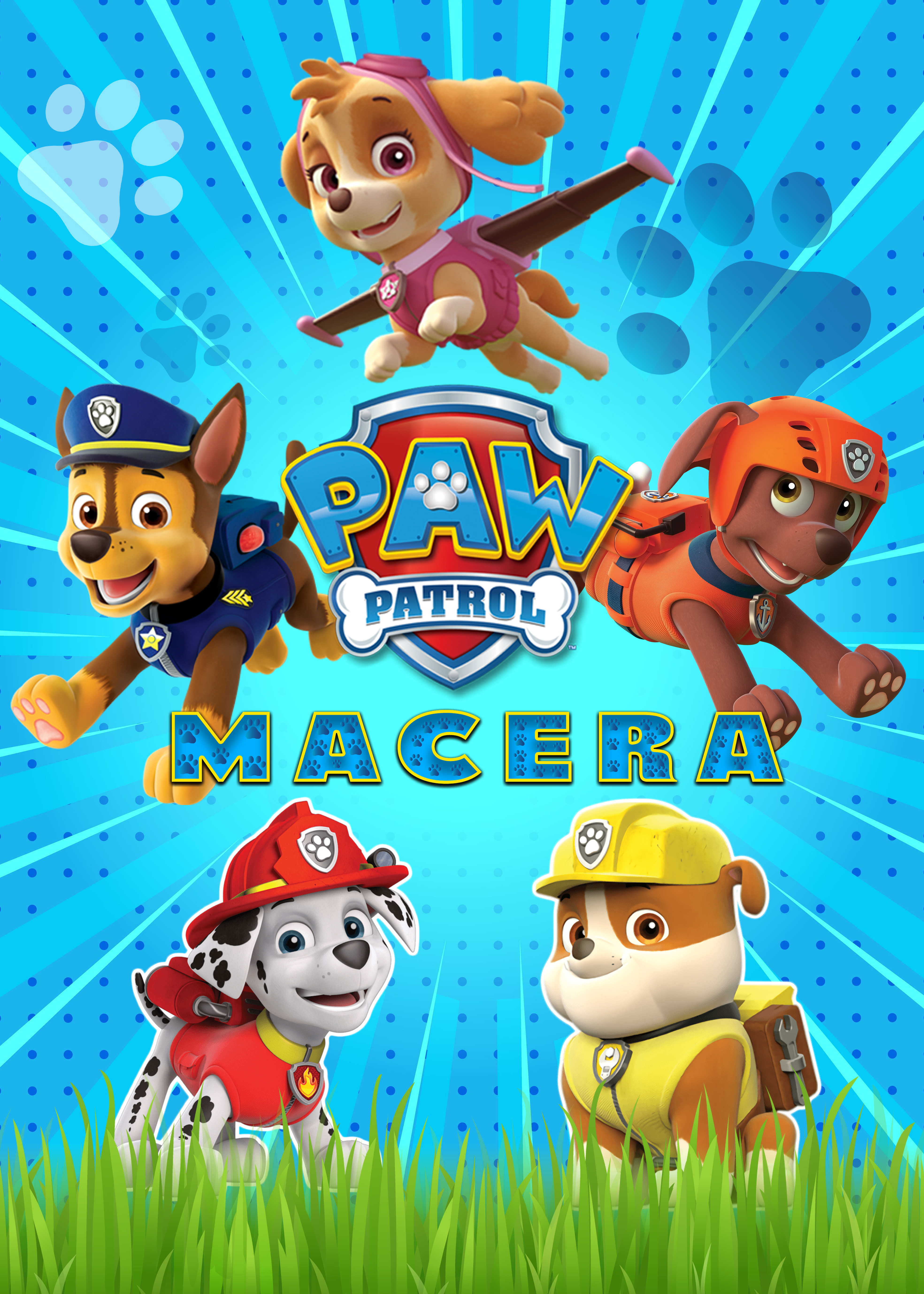 Paw Patrol Macera